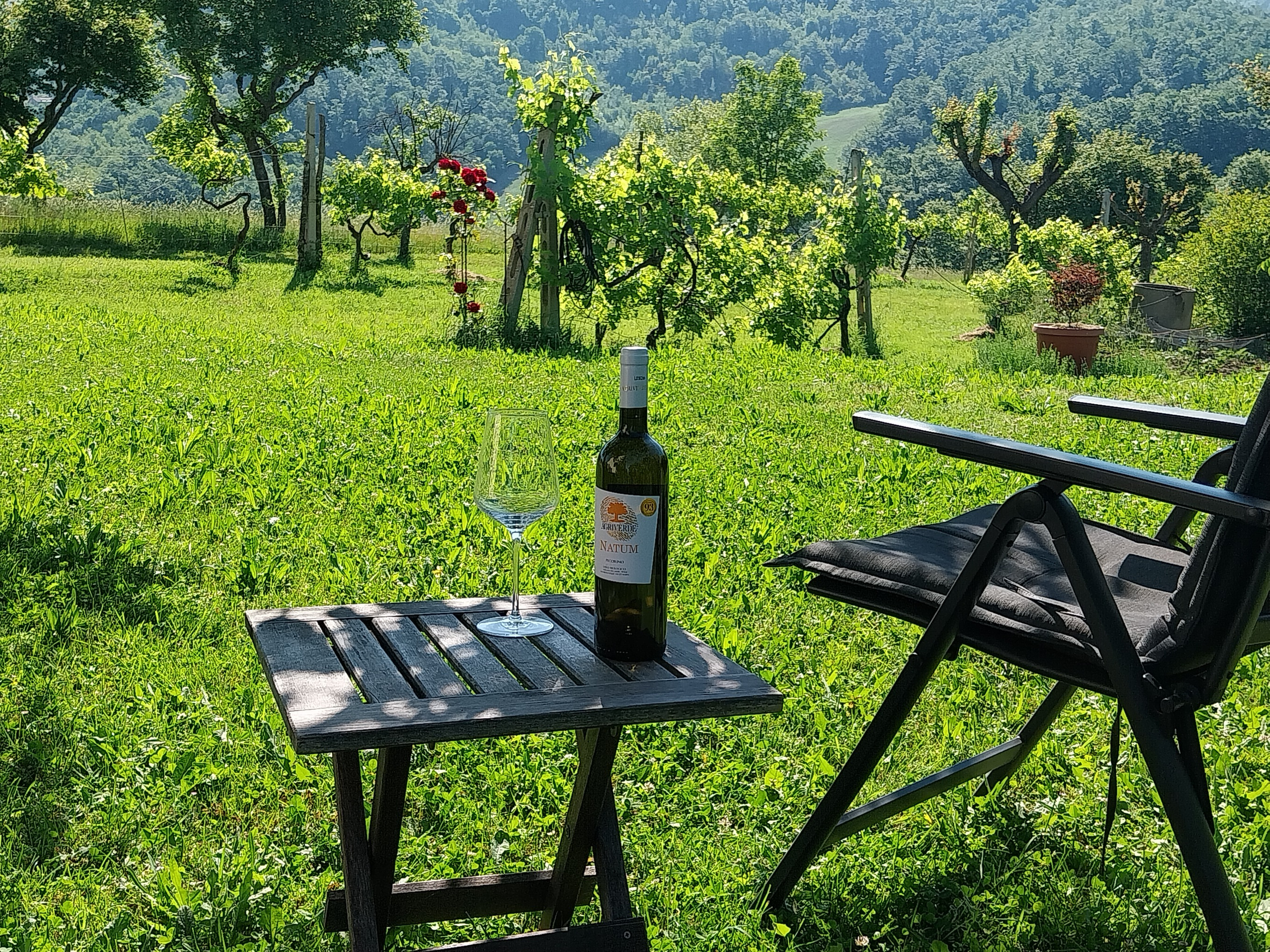 Chair, wine, and view on the vineyard